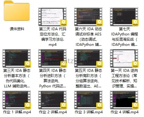 IDA 9.0逆向工程实战教程：7天速成大师级技能 (图2)