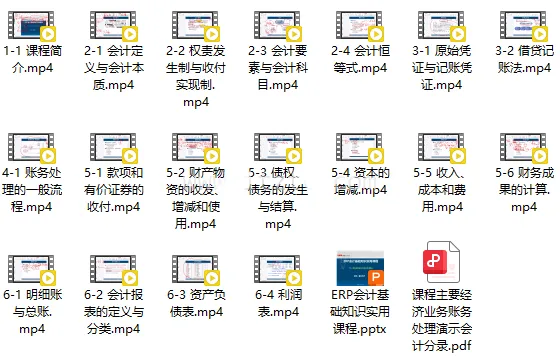 ERP会计基础知识实用课程 (图1)